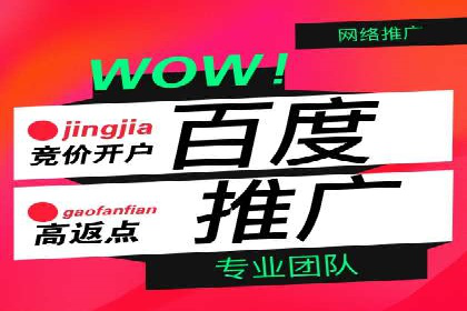 某知名品牌SEM运营策略及效果评估